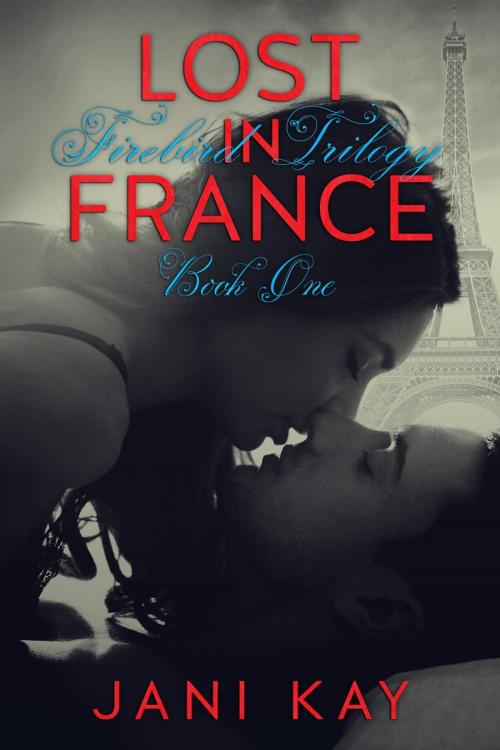 Cover of the book Lost In France - Jani Kay by Jani Kay, Jani Kay