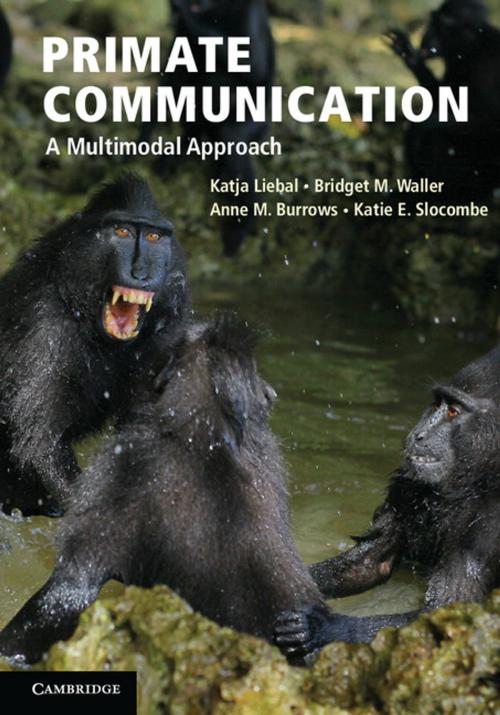 Cover of the book Primate Communication by Katja Liebal, Bridget M. Waller, Anne M. Burrows, Katie E. Slocombe, Cambridge University Press