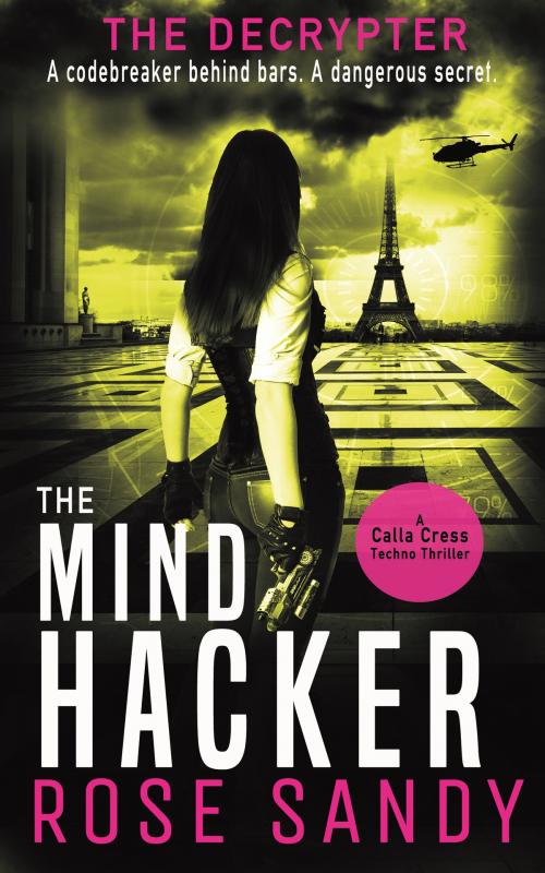 Cover of the book The Decrypter and the Mind Hacker by Rose Sandy, Silver Gravity Books