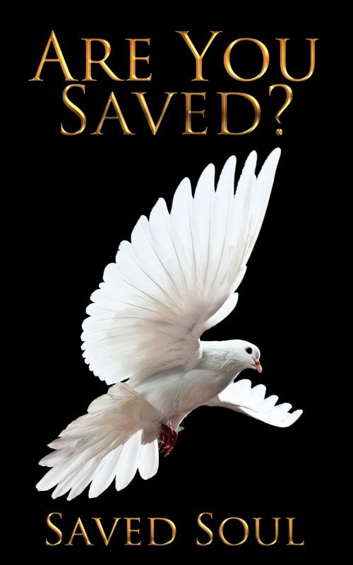 Cover of the book Are You Saved? by L.J. Butler, L.J. Butler
