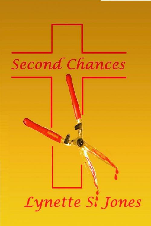 Cover of the book Second Chances by Lynette S. Jones, Lynette S. Jones
