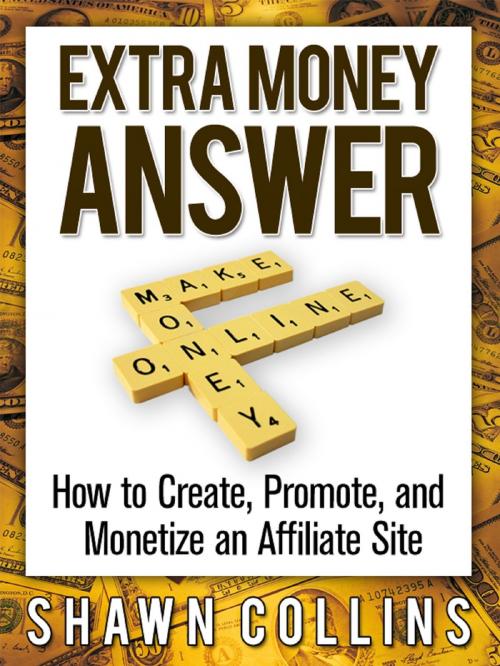 Cover of the book Extra Money Answer by Shawn Collins, Shawn Collins