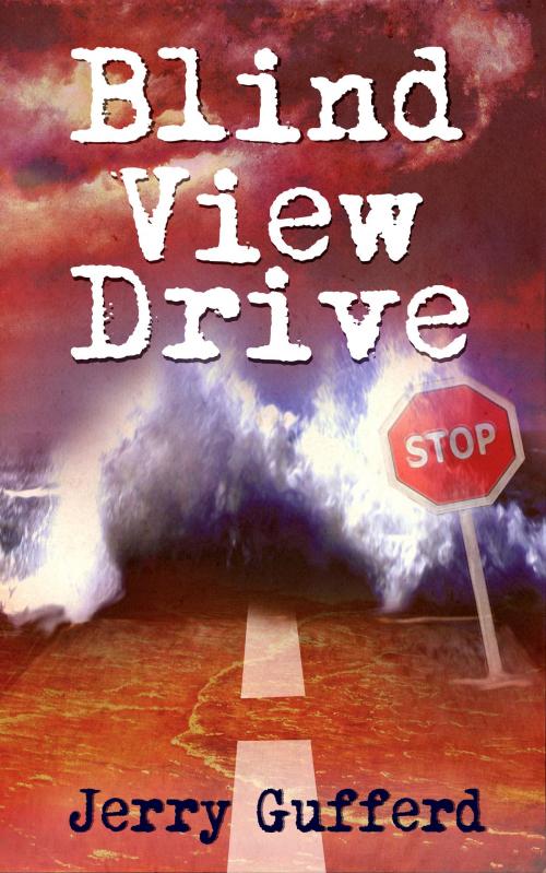 Cover of the book Blind View Drive by Jerry Gufferd, Jerry Gufferd