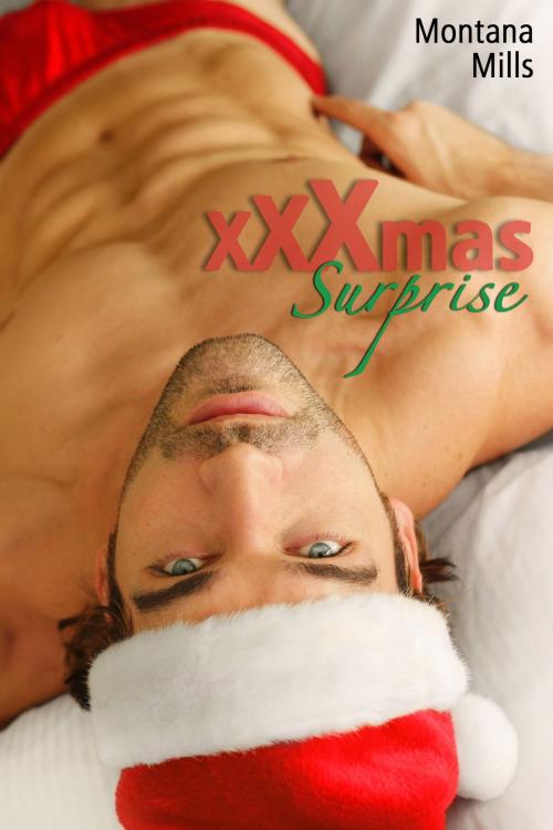 Cover of the book XXXmas Surprise by Montana Mills, Montana Mills