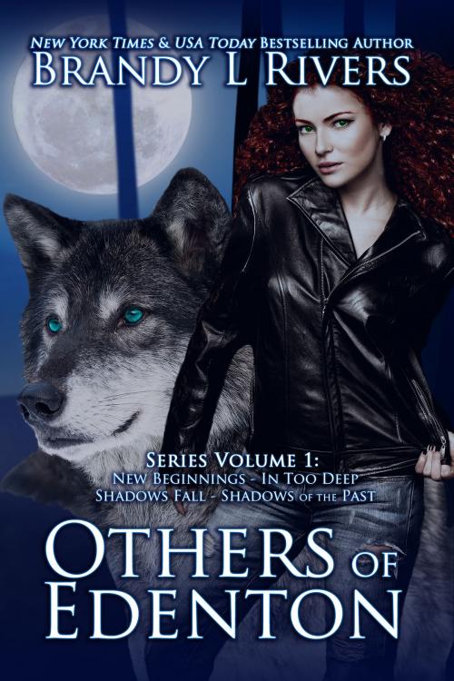 Cover of the book Others of Edenton by Brandy L Rivers, Brandy L Rivers