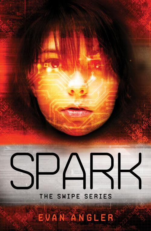 Cover of the book Spark by Evan Angler, Thomas Nelson