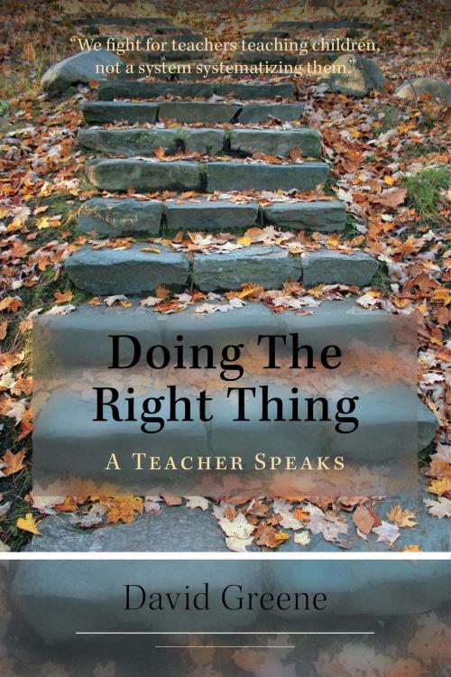 Cover of the book Doing The Right Thing by David Greene, FriesenPress