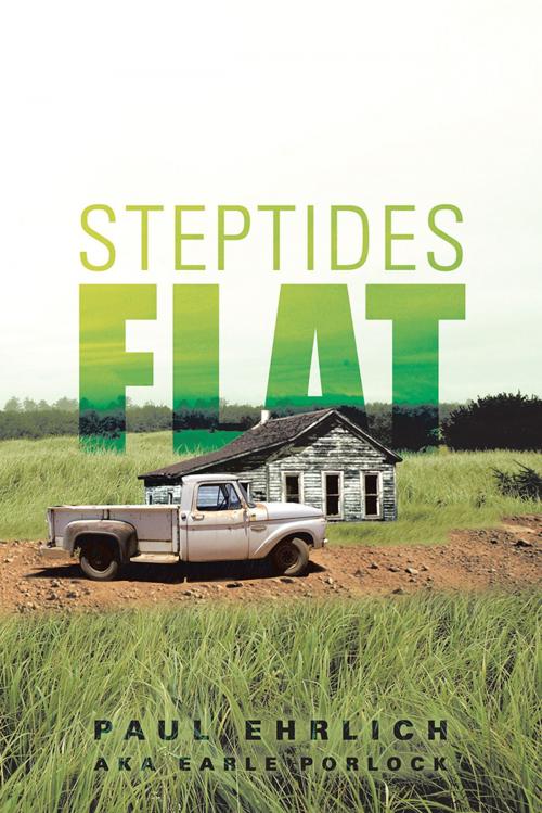 Cover of the book Steptides Flat by PAUL EHRLICH AKA EARL PORLOCK, Trafford Publishing