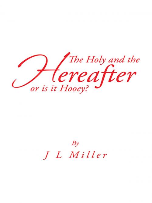Cover of the book The Holy and the Hereafter or Is It Hooey? by J L Miller, iUniverse