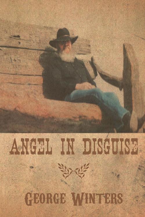 Cover of the book Angel in Disguise by George Winters, AuthorHouse