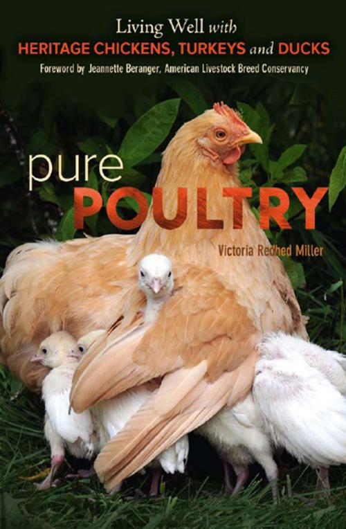 Cover of the book Pure Poultry by Victoria Redhed Miller, New Society Publishers