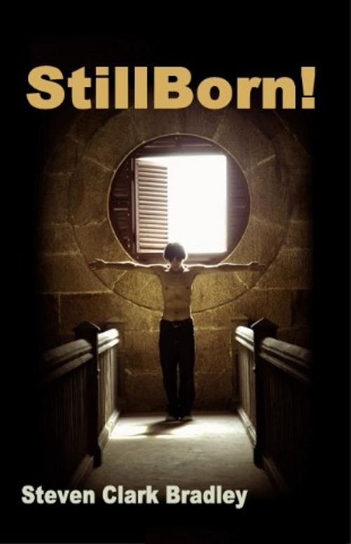 Cover of the book Stillborn by Steven Clark Bradley, Write Words Inc.