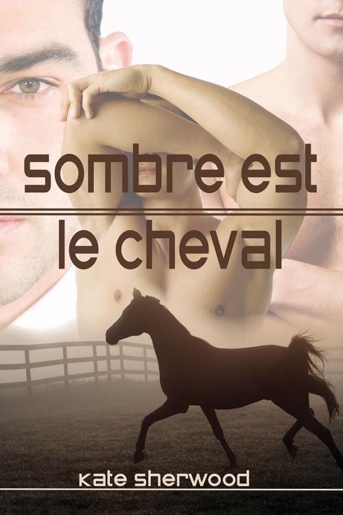 Cover of the book Sombre est le cheval by Kate Sherwood, Dreamspinner Press