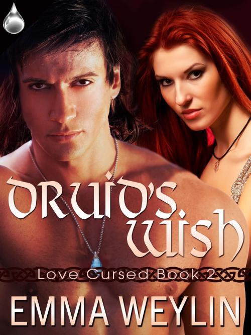 Cover of the book Druid's Wish by Emma Weylin, Liquid Silver Books