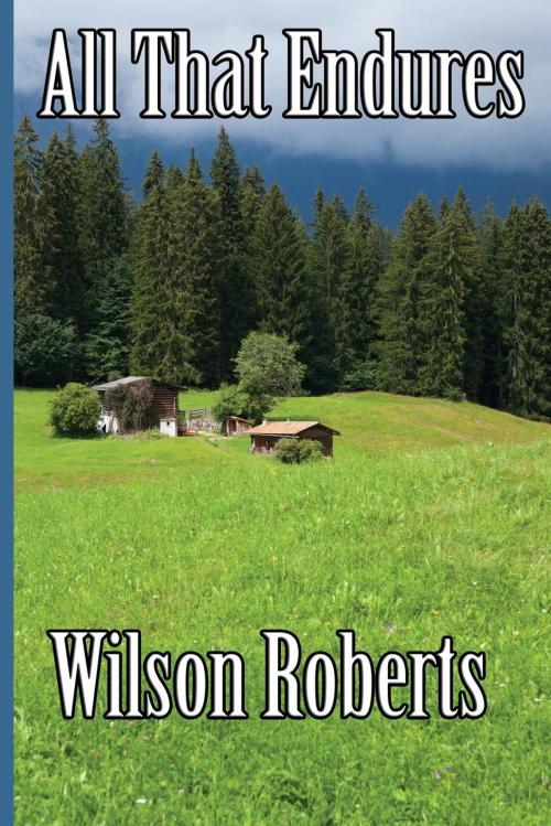 Cover of the book All That Endures by Wilson Roberts, Wilder Publications, Inc.
