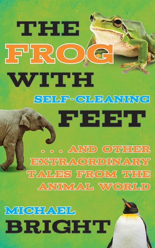 Cover of the book The Frog with Self-Cleaning Feet by Michael Bright, Skyhorse