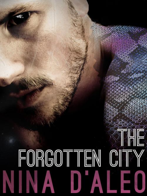 Cover of the book The Forgotten City: The Demon War Chronicles 2 by Nina D'Aleo, Pan Macmillan Australia