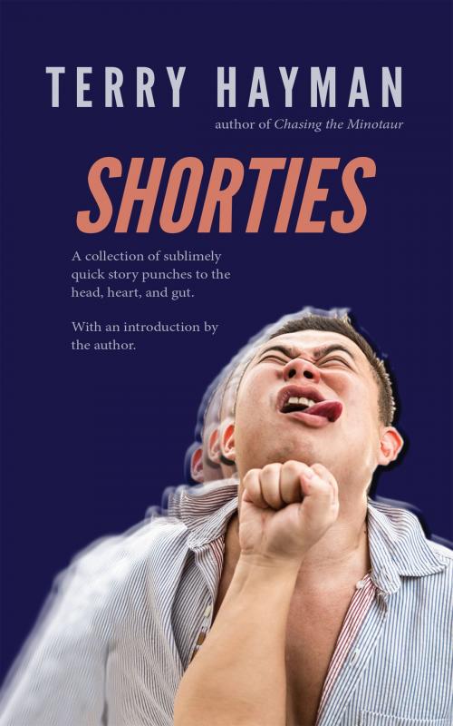 Cover of the book Shorties by Terry Hayman, Fiero Publishing