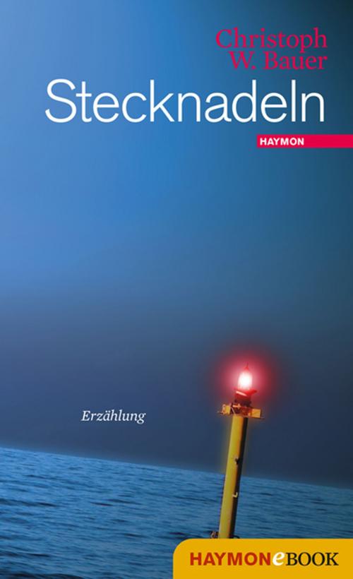 Cover of the book Stecknadeln by Christoph W. Bauer, Haymon Verlag