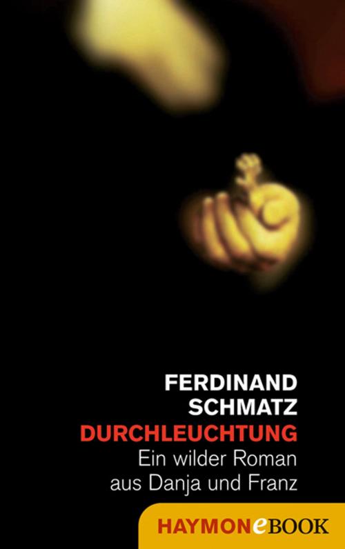 Cover of the book Durchleuchtung by Ferdinand Schmatz, Haymon Verlag