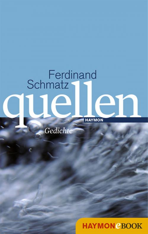 Cover of the book quellen by Ferdinand Schmatz, Haymon Verlag