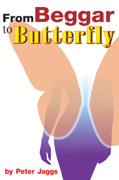 Cover of the book From Beggar to Butterfly by Peter Jaggs, booksmango