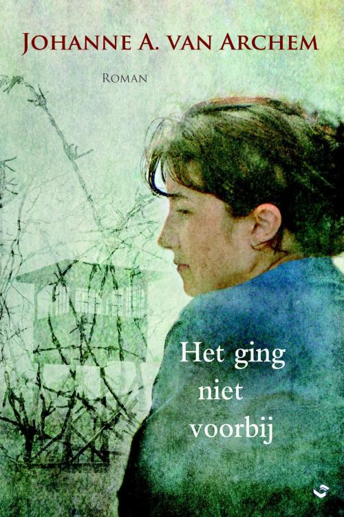 Cover of the book Het ging niet voorbij by Johanne A. van Archem, VBK Media