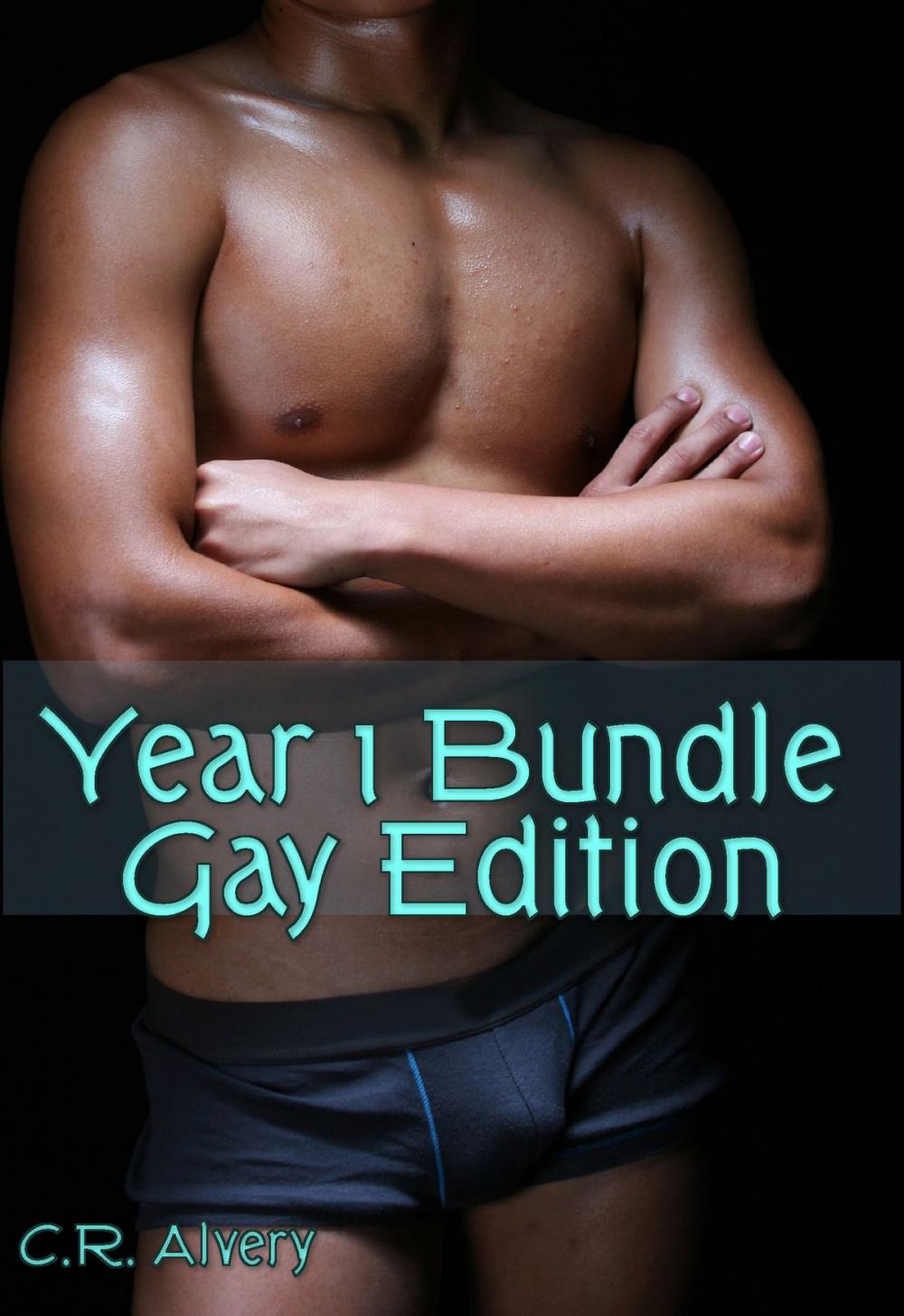 Big bigCover of Year 1 Bundle Gay Edition