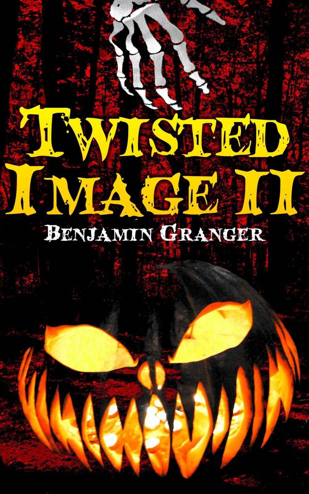 Big bigCover of Twisted Image II