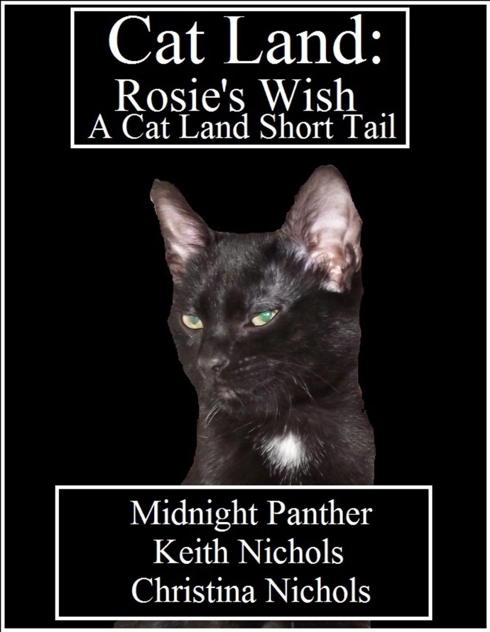 Big bigCover of Cat Land: Rosie's Wish