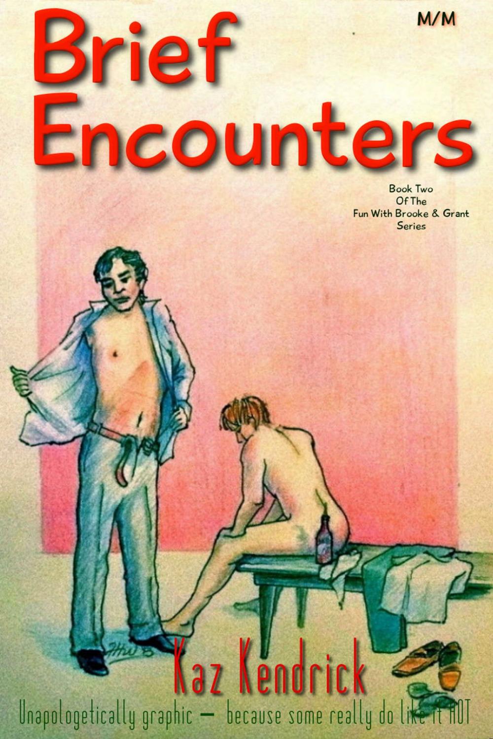 Big bigCover of Brief Encounters