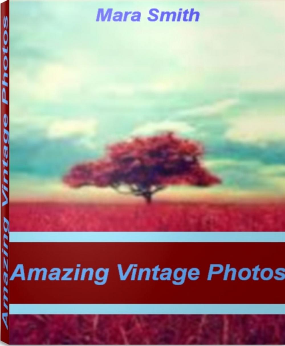 Big bigCover of Amazing Vintage Photos