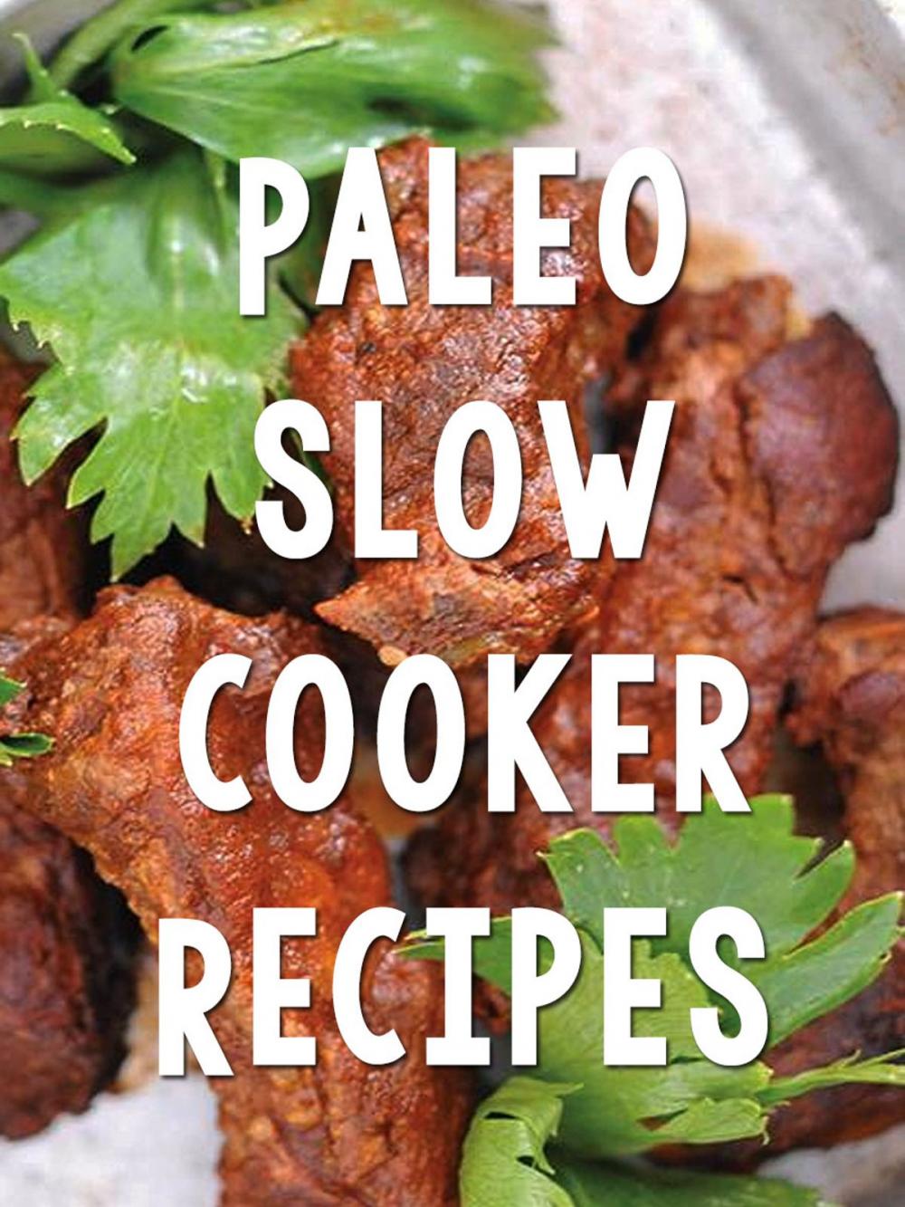 Big bigCover of Paleo Slow Cooker Recipes