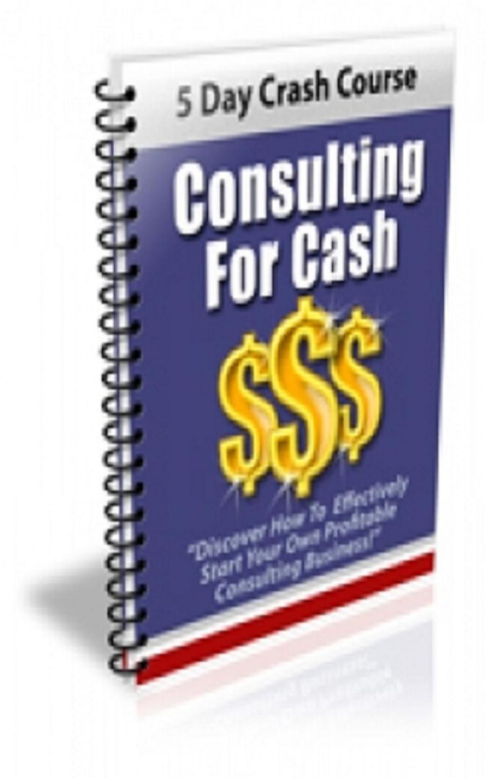 Big bigCover of How To Consulting For Cash