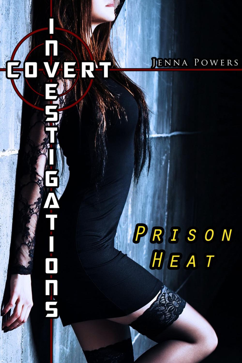 Big bigCover of Covert Investigations