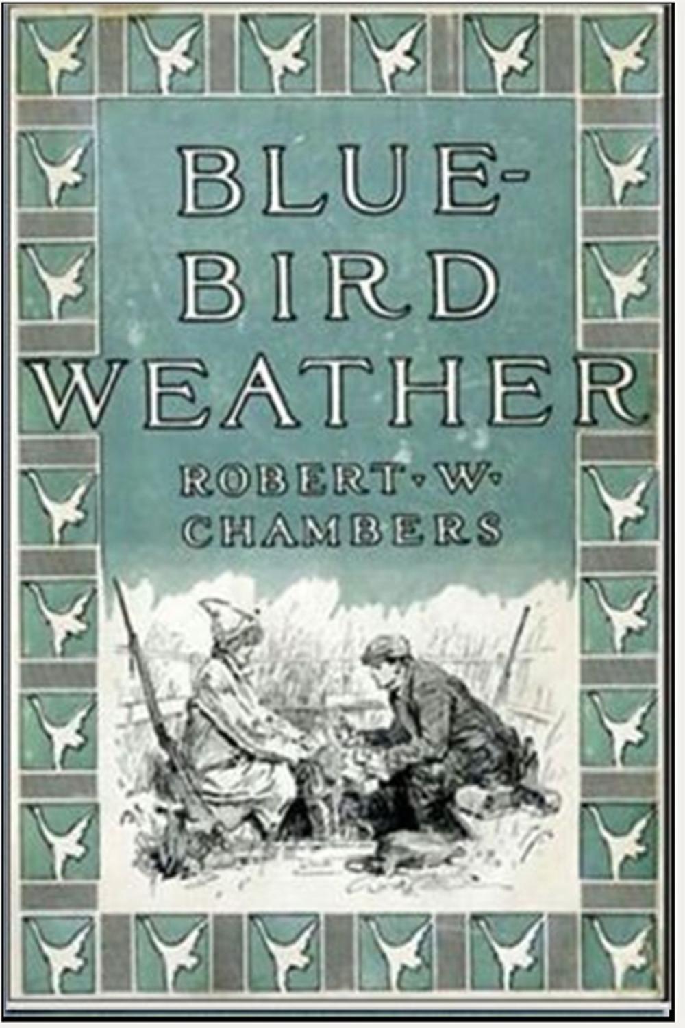 Big bigCover of Blue Bird Weather