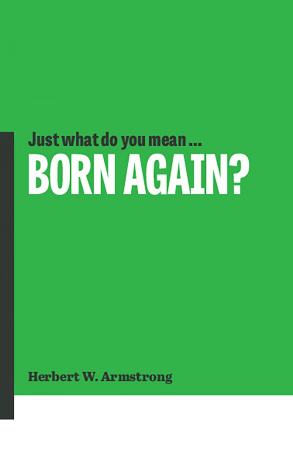 Big bigCover of Just What Do You Mean Born Again?