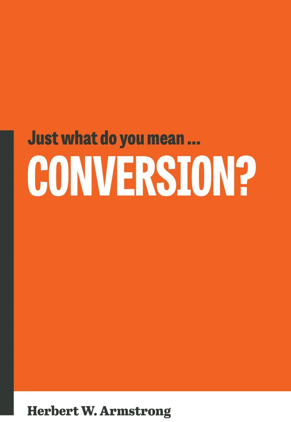 Big bigCover of Just What Do You Mean… Conversion?