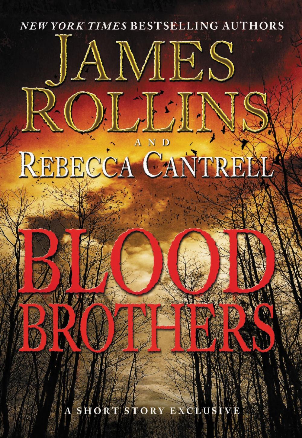 Big bigCover of Blood Brothers