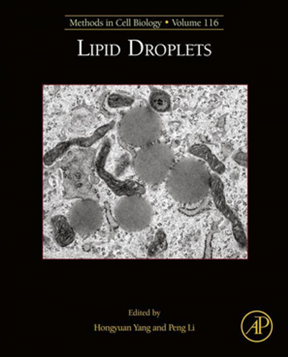 Big bigCover of Lipid Droplets