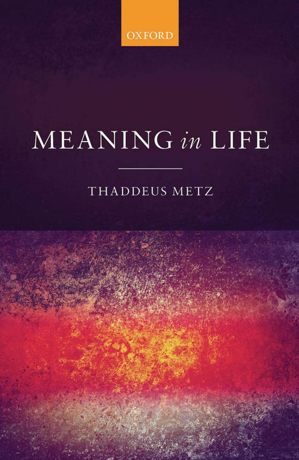 Big bigCover of Meaning in Life