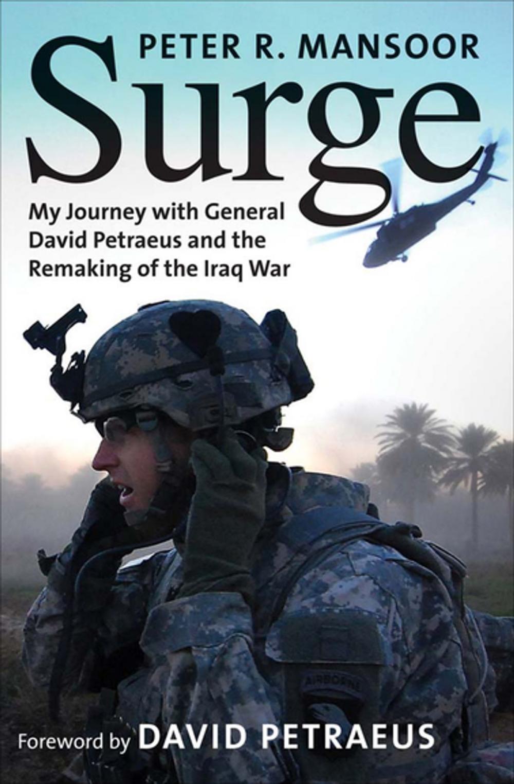 Big bigCover of Surge