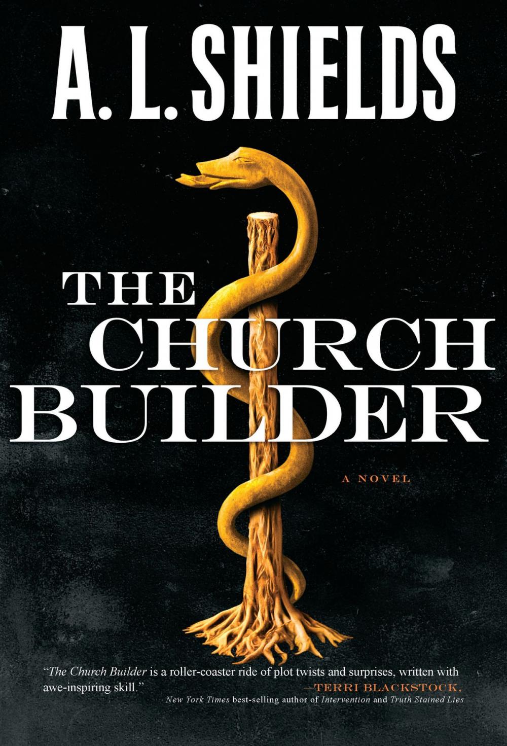 Big bigCover of The Church Builder