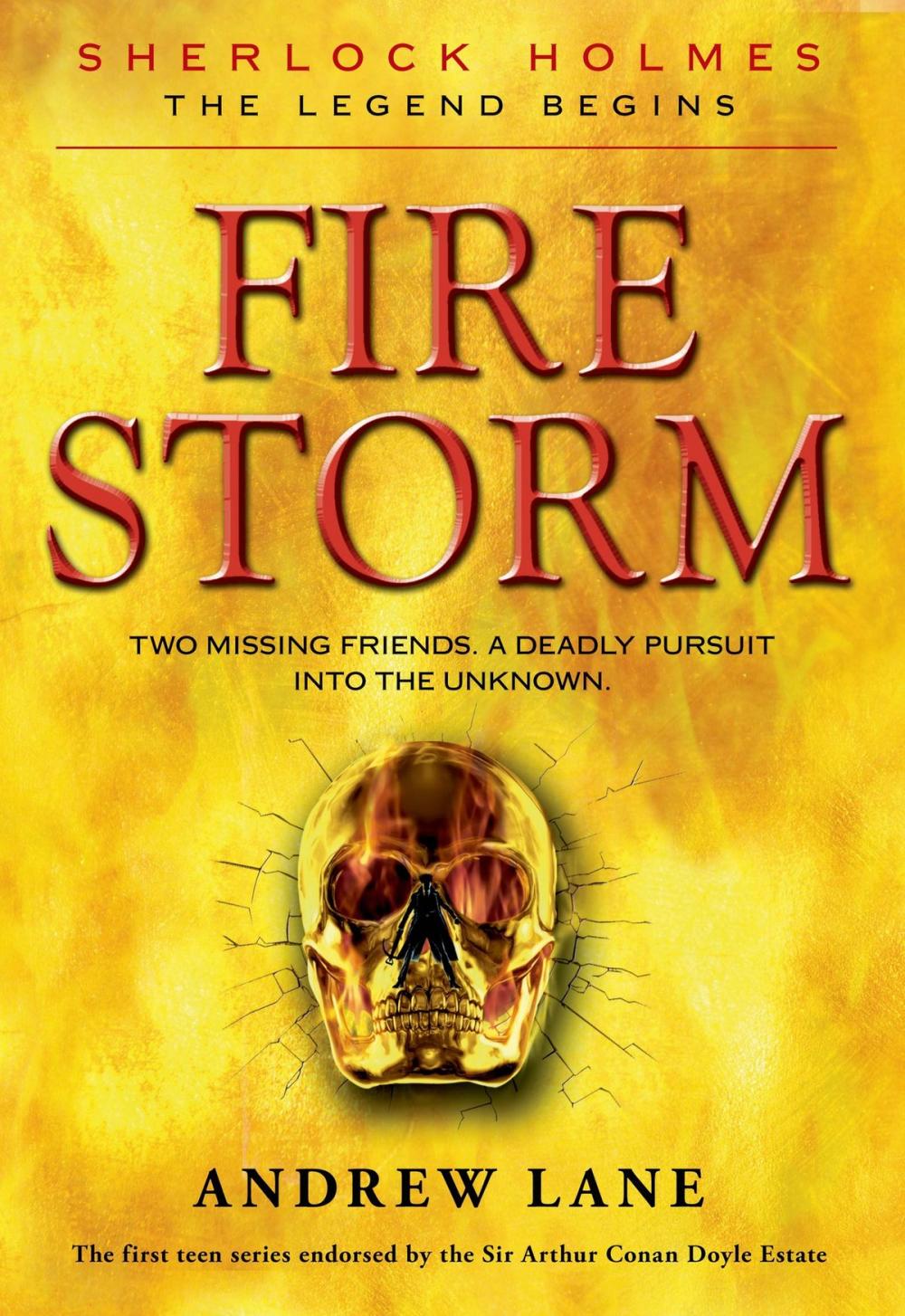 Big bigCover of Fire Storm