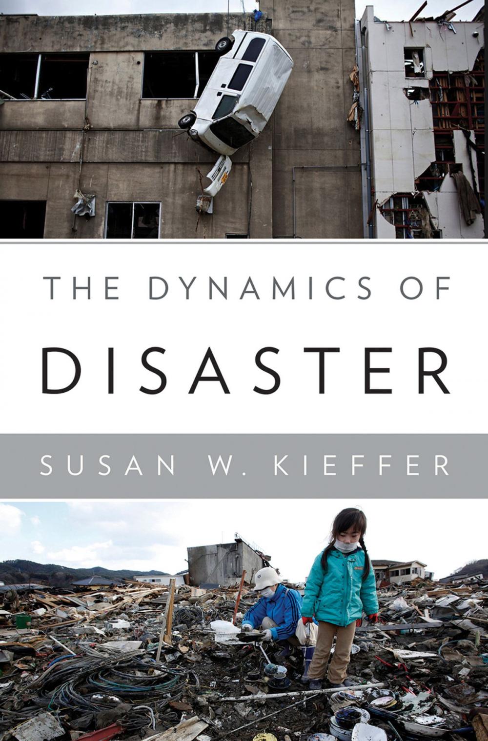 Big bigCover of The Dynamics of Disaster