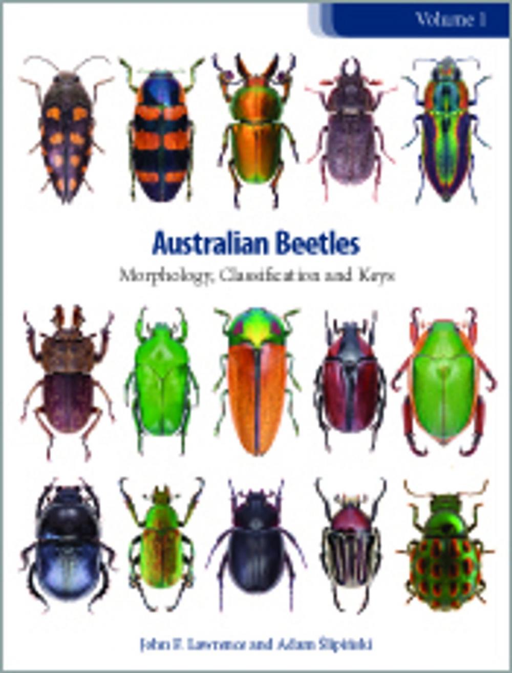 Big bigCover of Australian Beetles Volume 1