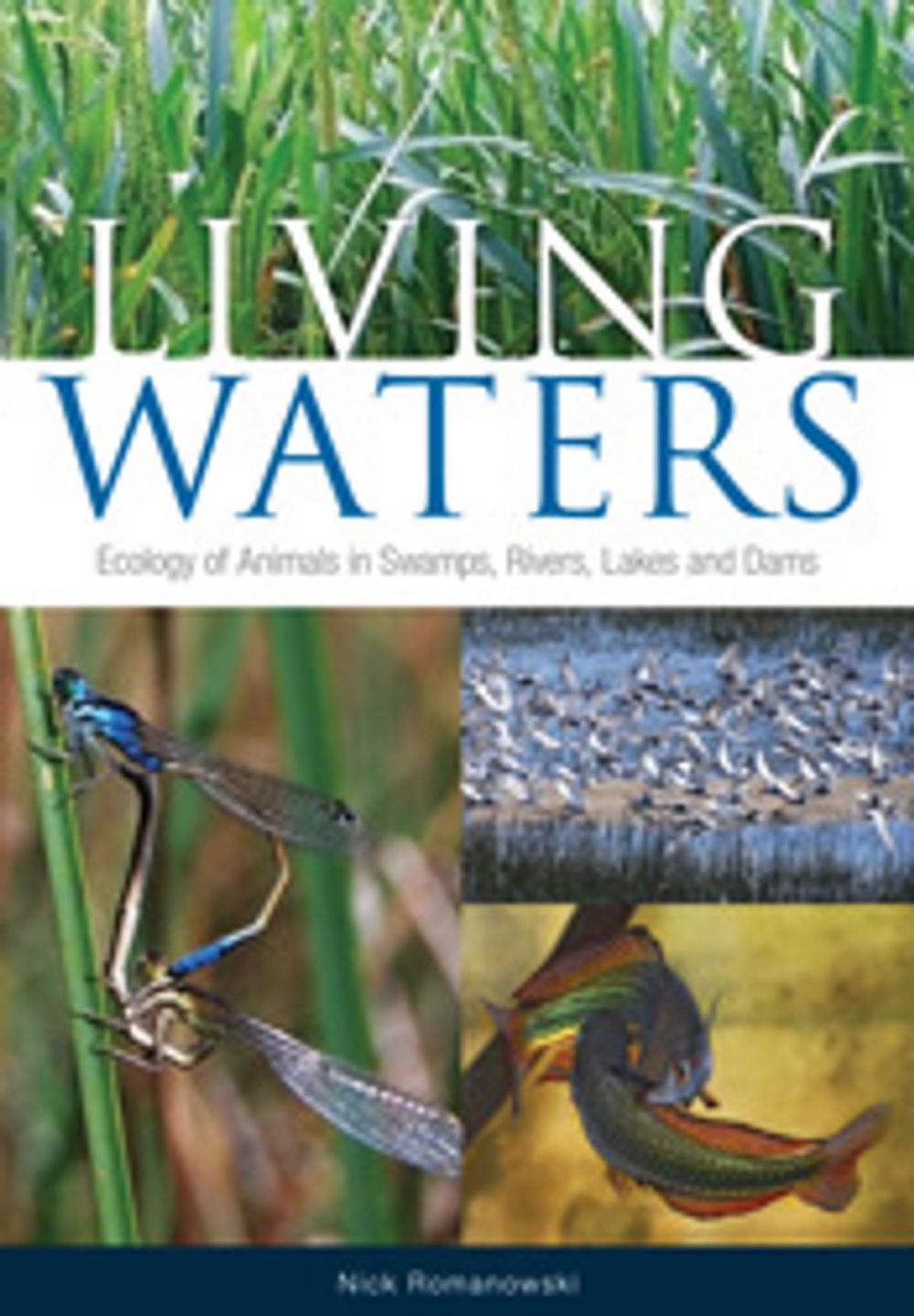 Big bigCover of Living Waters