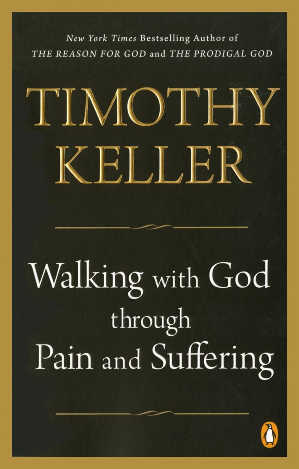 Big bigCover of Walking with God through Pain and Suffering