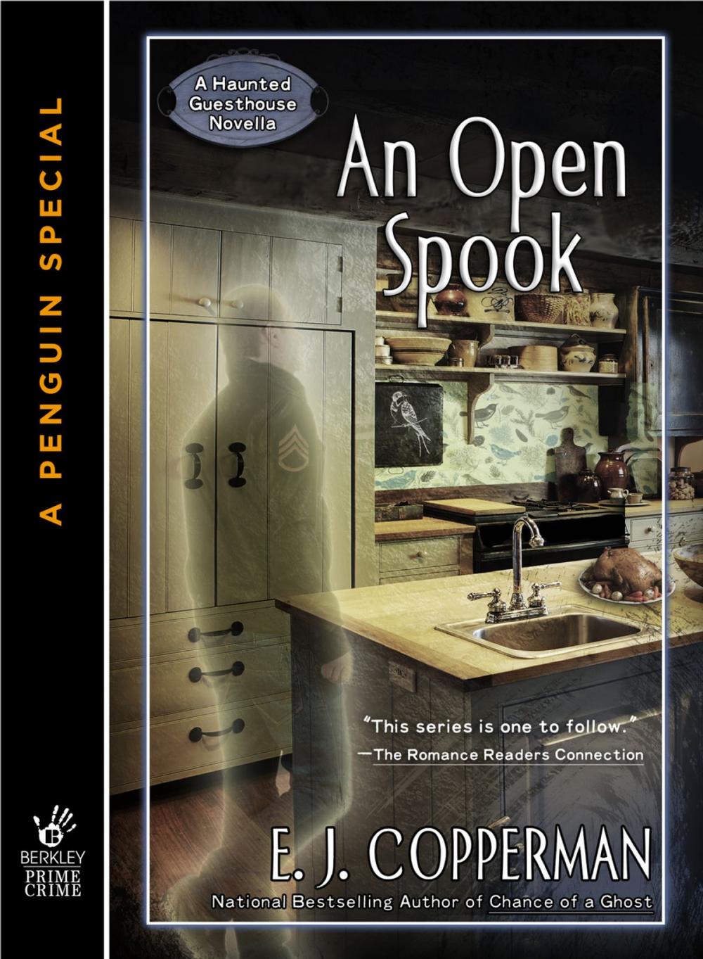 Big bigCover of An Open Spook