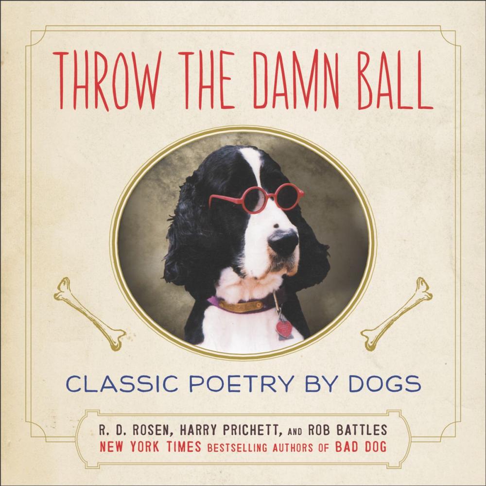 Big bigCover of Throw the Damn Ball